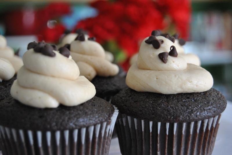 chocolate chocolate chip with peanut butter frosting